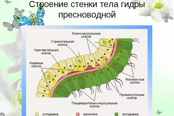 Пользователь не найден кракен