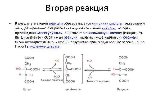 Магазин кракен дарк